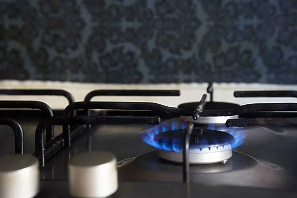 Gas Hob Burner